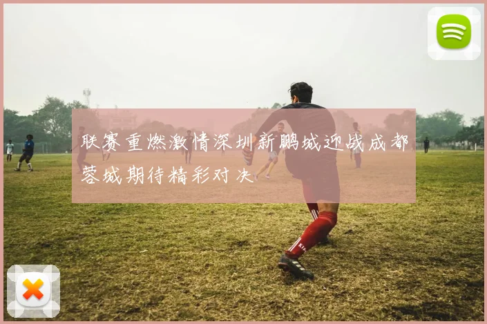 联赛重燃激情深圳新鹏城迎战成都蓉城期待精彩对决